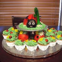 Lady Bug 1St B-Day Lady bug smash cake with lady bug cupcakes.