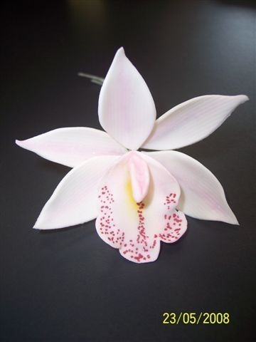 Cymbidium Orchid Cymbidium orchid made from flower paste....Only my 2nd orchid I have made