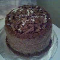 German Chocolate Cake Made this cake for my brothers birthday. I used the Cake Mix Doctors recipe and covered the sides with the coconut pecan icing. The top &...
