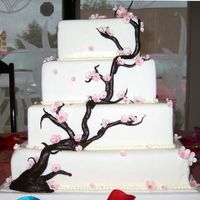 Cherry Blossom Wedding Cake Chocolate mousse cake covered with white fondant and decorated with gum paste flowers. The branch is made of modelling chocolate. I made...