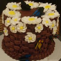 Chocolate Basketweave 4-layer chocolate raspberry cake, covered with a chocolate basketweave, RI daisies, RI drop flowers, and edible butterflies using CC...