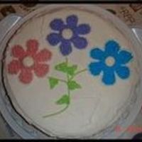 789343081_M.jpg This is Course 1 and my very first cake to decorate..thanks for looking