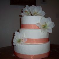 100_0015.jpg not crazy about it the icing was "bumpy" but it was just a practice and I learned!