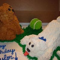 Taylor's Dogs I carved this out of a sheet cake for my niece's 10th birthday.