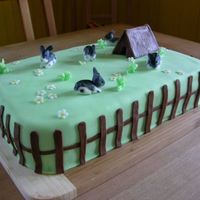 Rabbit Cake chocolate biscuit with ganache