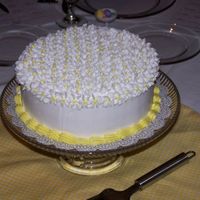 100_0342.jpg another view...different color