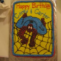 Spiderman I really had a time with this cake. It is all bc icing and all the work is freehand. The cake is fudge marble with bc. I wasn't...