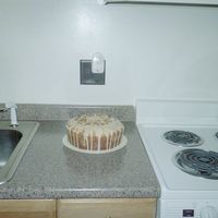 Pound Cake Pecan sour cream pound cake from all recipes cook book. Cake is drizzle with a carmelize thin icing topped with chopped pecans.