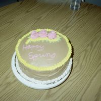 Practice Cake The descriptions are the same as previous ones, just taken at a different angle.