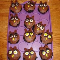 Owl Cupcakes Chocolate cupcakes with buttercream frosting. Mini oreos eyes, mini M&m's, banana runt beaks