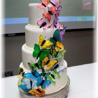 Flights Of Fancy Done as Showpiece for the Arts and Science Council Vanguard Society of Charlotte, NC . Edible Butterflies on Buttercream