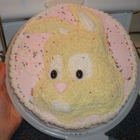 Easter Bunny Cake Says "Hoppy Easter"..corny, i know...