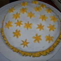 Flower Cake Needed to do something to the cake, since I had the icing (and I needed to figure out how to do some of the flowers, since I'm just...