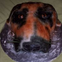 3-D Dog Head This is my first carved cake. I tried to make it look like a boxer dog but it had its flaws. I learned a lot from this cake the next time I...