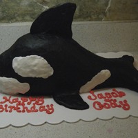 Free Willy Chocolate cake, covered in buttercream.Back & side fins made from fondant