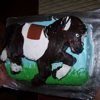 Pony Cake The saddle is fruit leather and the tail and main are licorice. Thanks for looking.