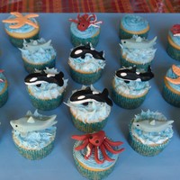 Oceans Creatures I made these Seaworld cupcakes for my little boy's end of yr school party. The children were in aww with shamu. I really enjoyed...
