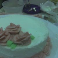 Wilton I Chicago I was happy to get three decent roses and some leaves. Practice makes perfect, so look for better pictures as I improve. http://...