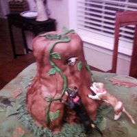 David's Cake This is a cake for a groom that is crazy about his coon dogs. Found this pic on CC.