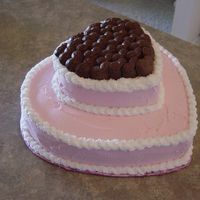 Pink And Brown I made this cake for a friend for her Bridal Shower. Her colors were pink and brown so we came up with the idea to use chocolate for the...