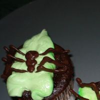 Spider Cupcakes Chocolate spiders on buttercream leaves.