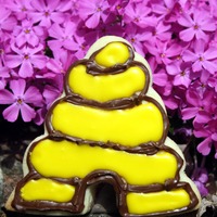 Beehive Cookie NFSC - Beehive cookie experiment. I used melted chocolate to pipe the outline. I cut the tip and instead of getting a nice clean pipe line...