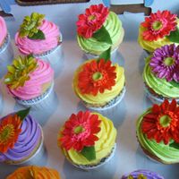 Gerber Daisies Cup Cakes fun colored gerber daisies for bridal shower, filled with raspberry cream and chocolate mousse