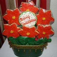 Poinsettia's RI and NFSC