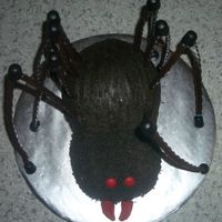 Spider Cake This cake is a four-layer carved cake. It is a devils food cake decorated with dyed chocolate buttercream frosting. The spider legs are...