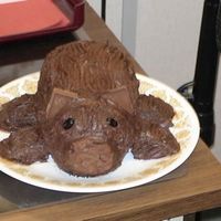 Wombat This is a wombat cake I made for a co-worker's birthday. Chocolate cake, chocolate buttercream icing, the nose is a cookie, the eyes...