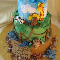 Safari Baby Shower Cake All fondant covered cakes as well as the animals and baby and other details. Gumpaste sign and leaves, graham cracker and brown sugar &quot...