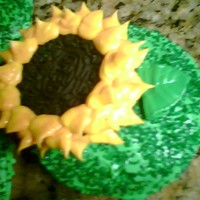 Sun Flower Cupcakes 