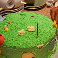 Butteflies And Bugs A dedication cake for a special baby