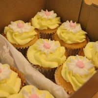 Daisy Cupcakes I just loved these.... and my daughter did as well. We made them to take to a pool party.