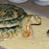 Rattle Snake Grooms Cake This was a fun cake. My husbands cousin was getting married and his wife-to-be called and asked me to make him a red velvet rattlesnake...