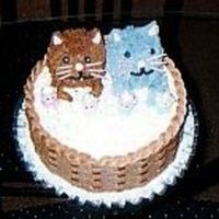 Kitten's In A Basket Kitten cake
