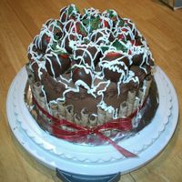 Chocolate Covered Strawberry Cake This was for my husband's work party. It's a dark chocolate cake with chocolate BC icing and filling, and choc. covered...