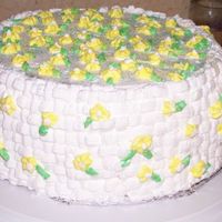 My First Cake After reading the forums for weeks, I decided to try two cakes just to see how they would get. This is the first one. I was getting tired...