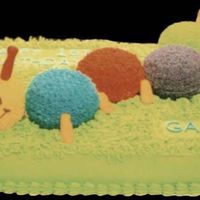 Baby Einstein Caterpillar This picture is awful but the cake was fun. I used fondant for the tail, antennas, and feet.
