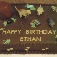 Dinosaurs I used the mini wonder mold to make the volcano and melted red icing to make the lava. The rocks are edible candy pebbles and the dinosaurs...