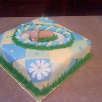 Bunny Baby This was made for a surprise baby shower. The lady had her nursery done in the bunny theme.