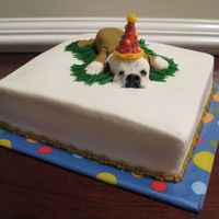 "winnie" This birthday cake was made for a customer's father whose pride and joy is his bull dog, Winnie. 8" square yellow cake covered in...