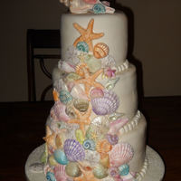 Seashells 