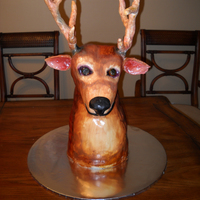 Deer 