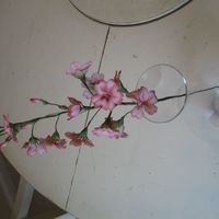 Gumpaste Cherry Blossoms My first attempt at cherry blossoms. Thanks for checking them out!