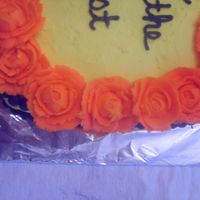 Roses closeup of my roses :) -- I'm a newbie so I'm proud!