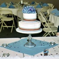 Sarah's Wedding Cake Two-tiered vanilla. Real ribbon and hydrangeas. Everything else is buttercream.