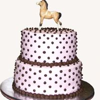 Emily's Birthday Cake White cake covered in pink buttercream with chocolate buttercream dots and border. Topped with Beyer horse.