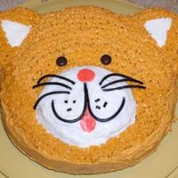 Kitty Cat Cake Made for my daughters 1st birthday party. This was my first attempt at frosting a cake other then a plain rectangle one. I had never used...