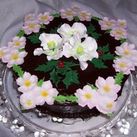 Christmas Roses 